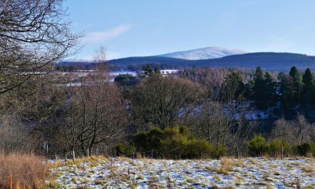 4 Bed in Aberlour 9