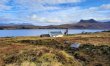 3 Bed in Dundonnell 0