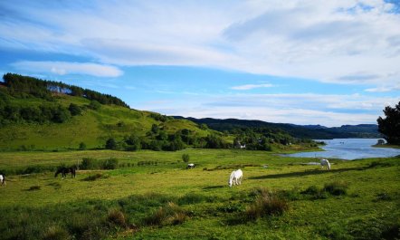 2 Bed in Oban 7