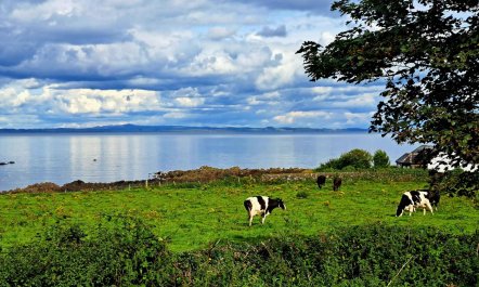 2 Bed in Whithorn 1