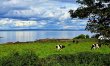 2 Bed in Whithorn 1