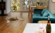 1 Bed in Castle Douglas 5