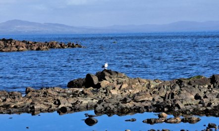 3 Bed in Whithorn 3