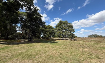 1 Bed in Lakenheath 6