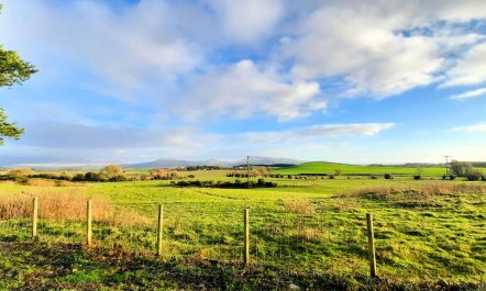 3 Bed in Newton Stewart 1