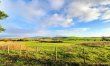3 Bed in Newton Stewart 1