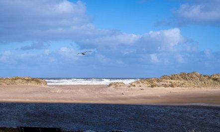 3 Bed in Lossiemouth 5
