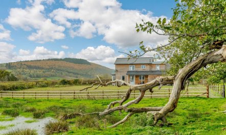 3 Bed in Presteigne 3