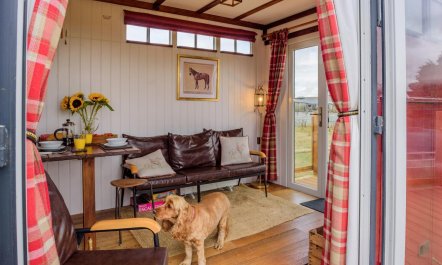 1 Bed in Pelcomb Bridge 5