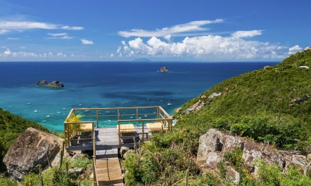 Bougainvillea Over Gustavia