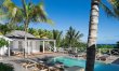 Palms & Open Sky 0
