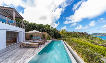 Trade Winds on Birds Hill
