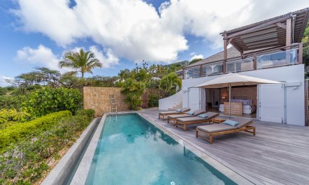 Trade Winds on Birds Hill 2
