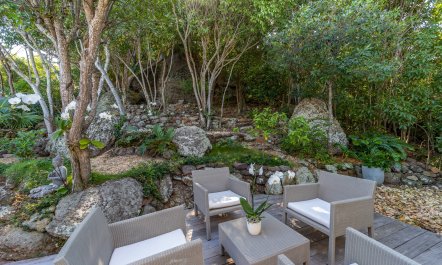 Trade Winds on Birds Hill 9