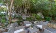 Trade Winds on Birds Hill 9