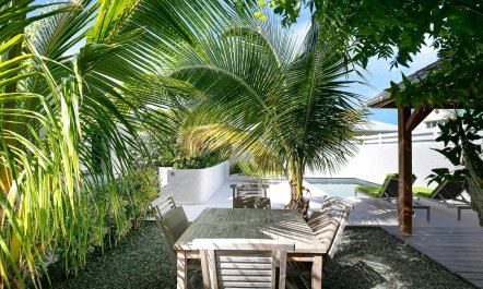 Trade Wind & Hammock 3
