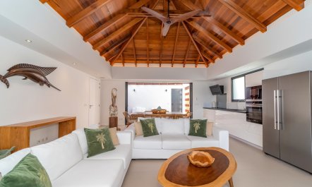 Trade Winds on Cayes 1