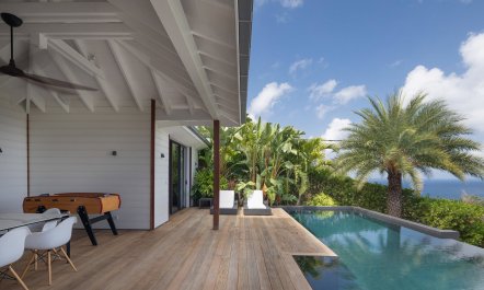 Gustavia in the Glass