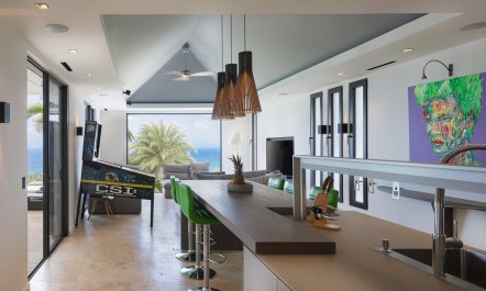 Gustavia in the Glass 4