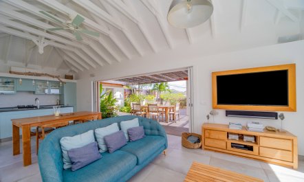 Mango Season 6