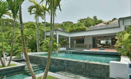 Palms & Open Water 2