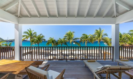 Flamands & the Palms 7