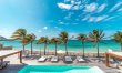 Flamands & the Palms 2