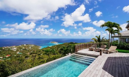 Marigot Honey 3
