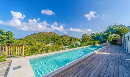 Hibiscus Hills 2