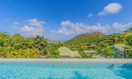 Hibiscus Hills 4