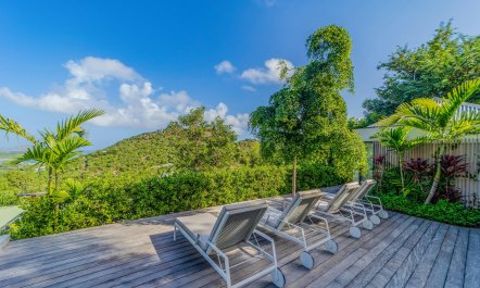 Hibiscus Hills 9