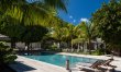 Under the Palms 4