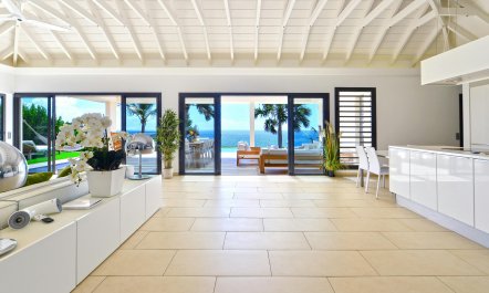 Island Elixir 9
