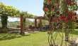 The Tuscan Library 5