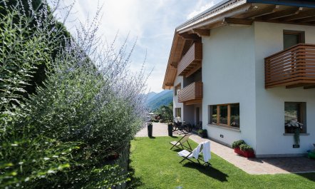 Trento Pine 1