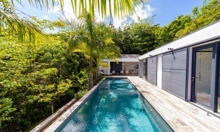 Tropical Azure 3