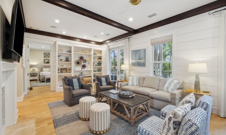 Sand Dollar Dream 3