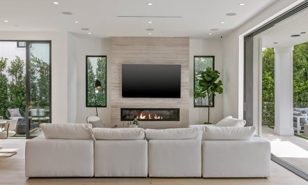 Stone & Ficus 2