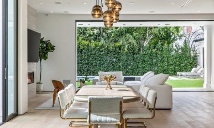 Stone & Ficus 1