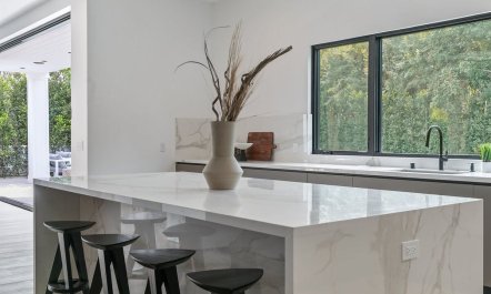 Stone & Ficus 8
