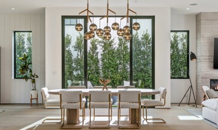 Stone & Ficus 4