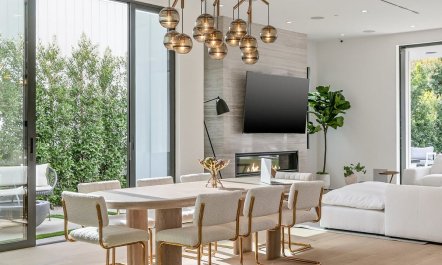 Stone & Ficus 5
