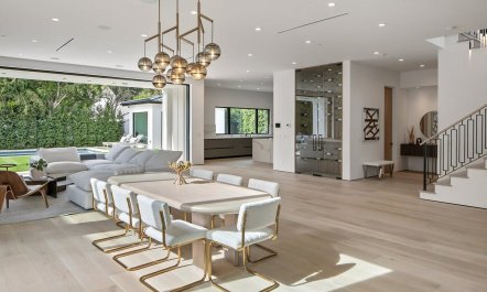 Stone & Ficus 3