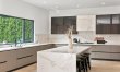 Stone & Ficus 9