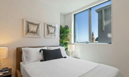 Downtown & Bay 7