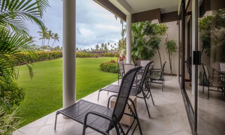 Palm Trees & Lawns 4