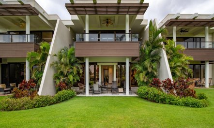 Palm Trees & Lawns 3