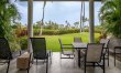 Palm Trees & Lawns 0