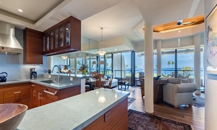 Aloha Horizon 7