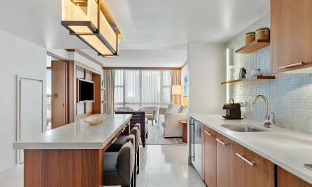The Miami Modern 1